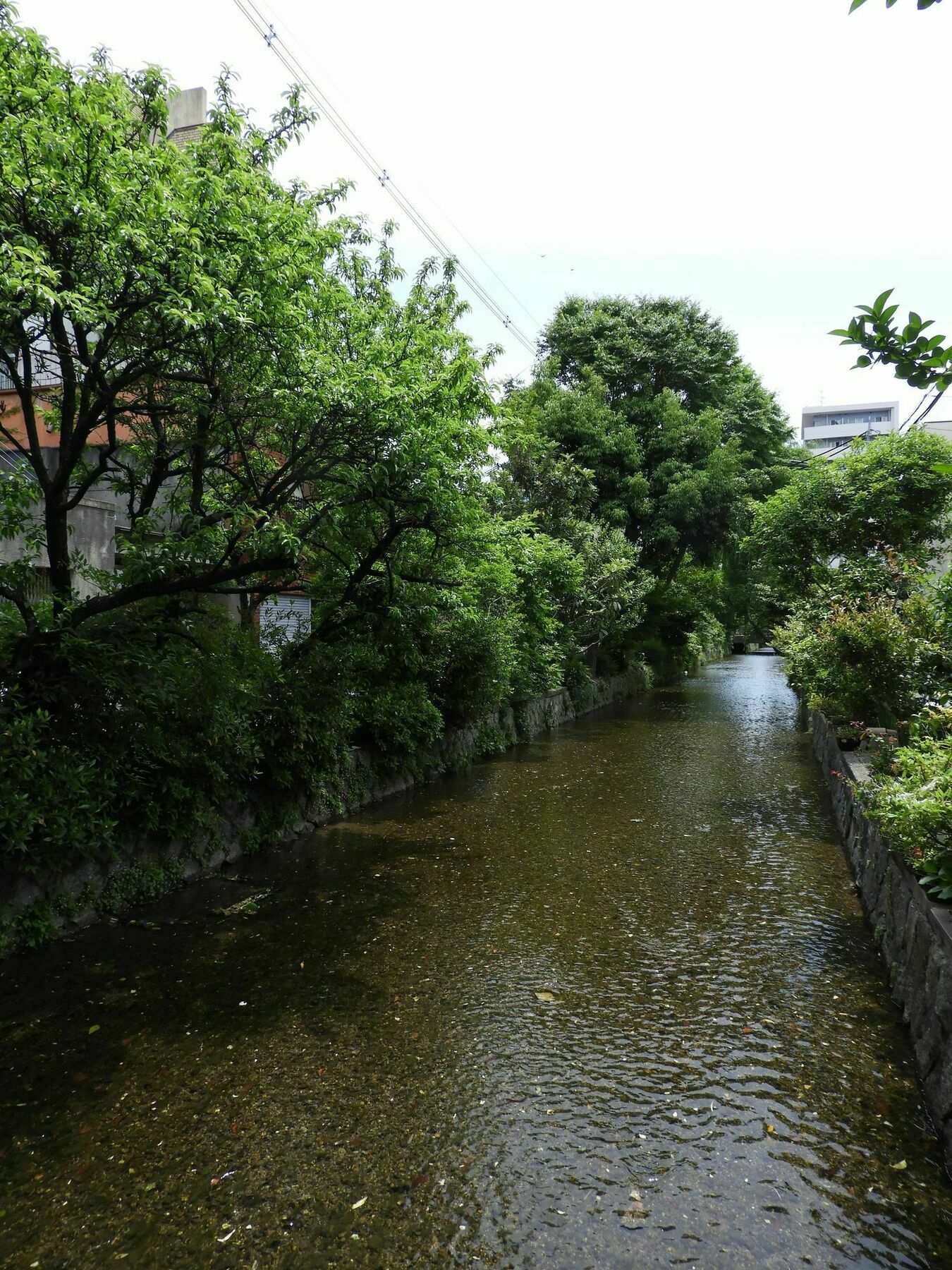 京都高濑川别邸 外观 照片